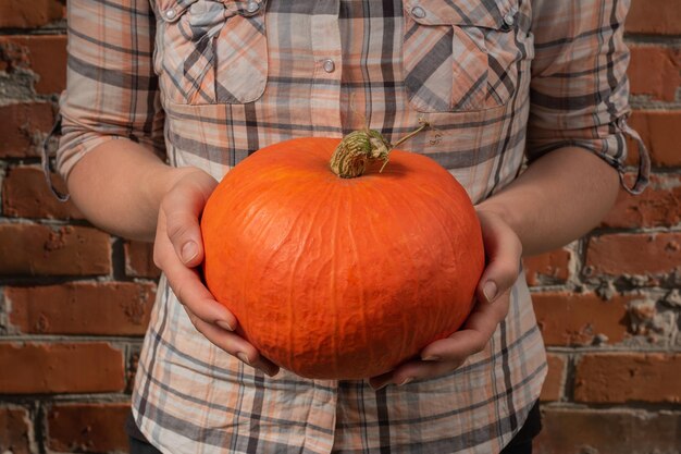 Une petite citrouille dans les mains d'une jeune fille Préparation pour Halloween