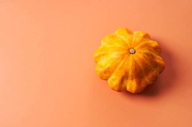 Petite citrouille sur fond orange.