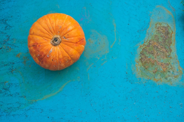 Petite citrouille sur un vieux fond bleu, récolte d&#39;automne