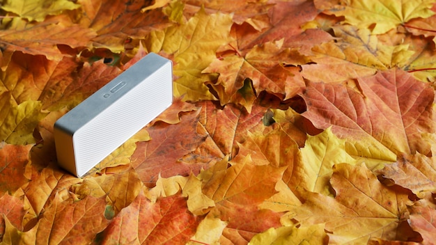 Photo petite colonne sonore acoustique sur la surface des feuilles d'érable lumineuses d'automne