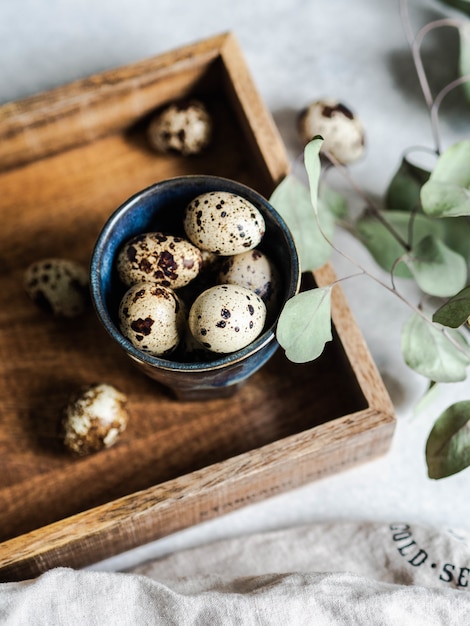 petite composition d'oeufs et de feuilles