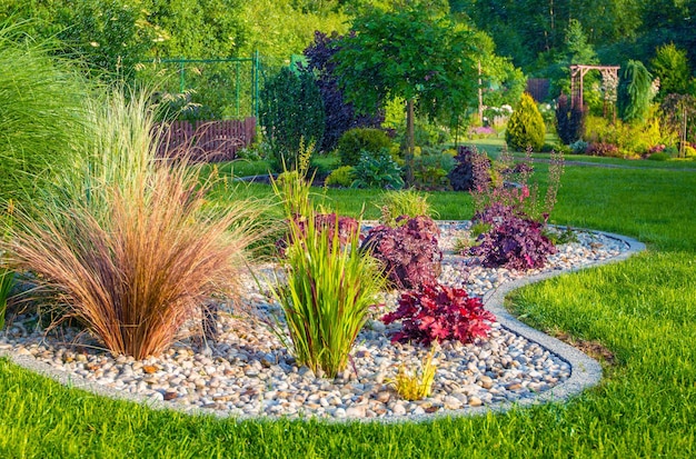 Photo petite conception de paysage de jardin résidentiel thème de jardinage