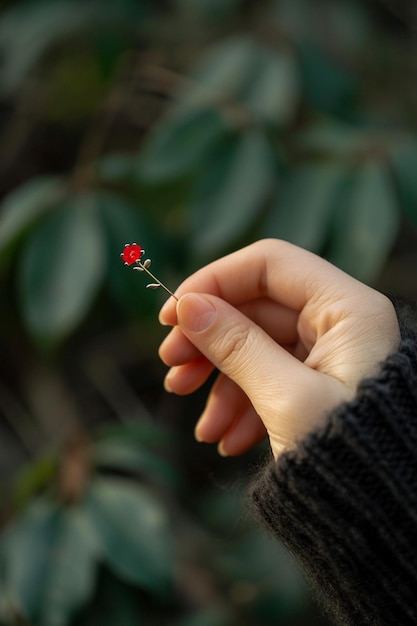 Photo une petite épingle à point rouge représentant un martisor