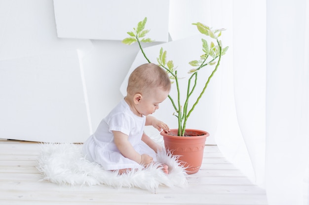 Petite fille de 6 mois assise en vêtements blancs dans un appartement lumineux à la fenêtre avec une fleur de chambre, bébé soins des plantes