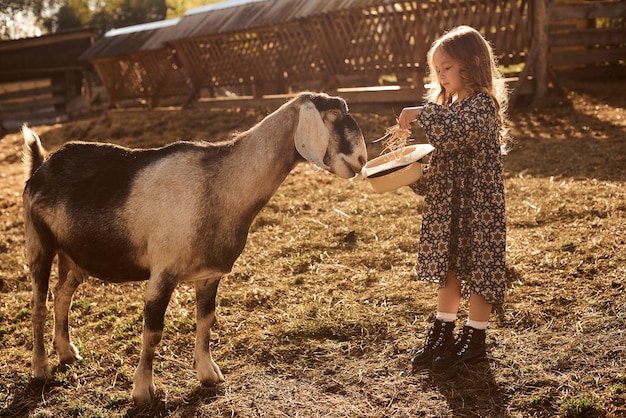 Une petite fille aime être dans une ferme avec des animaux.