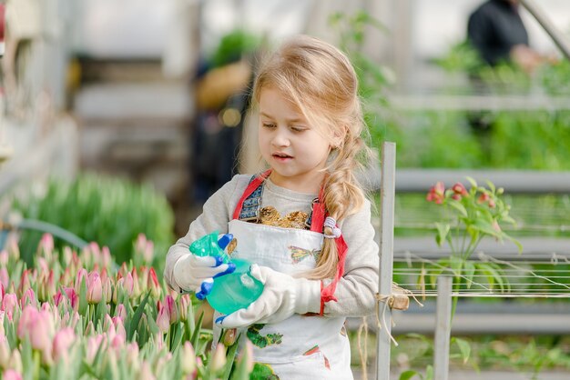 Une petite fille arrose des tulipes d'eau dans une serre au printemps.