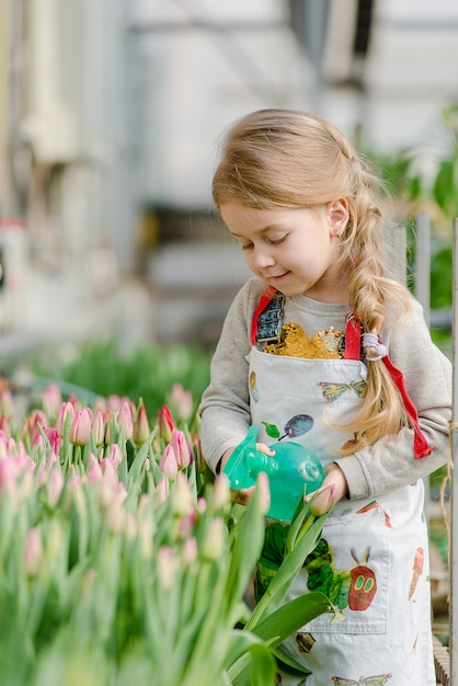 Une petite fille arrose des tulipes d'eau dans une serre au printemps.