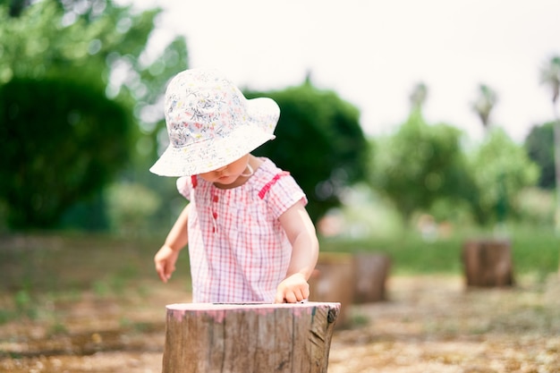 Petite fille au chapeau passe son doigt sur une souche d'arbre