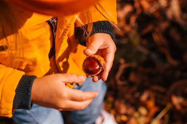 Une petite fille à l'automne dans une veste de parc jaune s'ouvre et prend des châtaignes de skorlupa