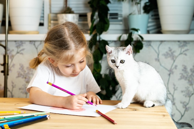 une petite fille blonde est assise à une table, dessinant. un chaton écossais blanc est assis à côté