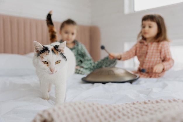 Une petite fille blonde en pyjama embrasse un chat domestique dans sa chambre.