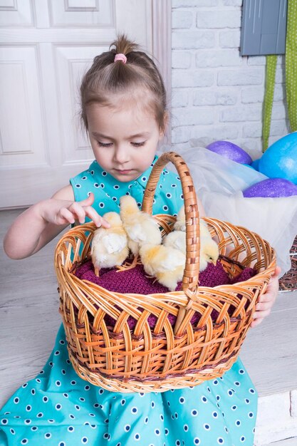 petite fille caressant des poulets assis dans un panier en osier