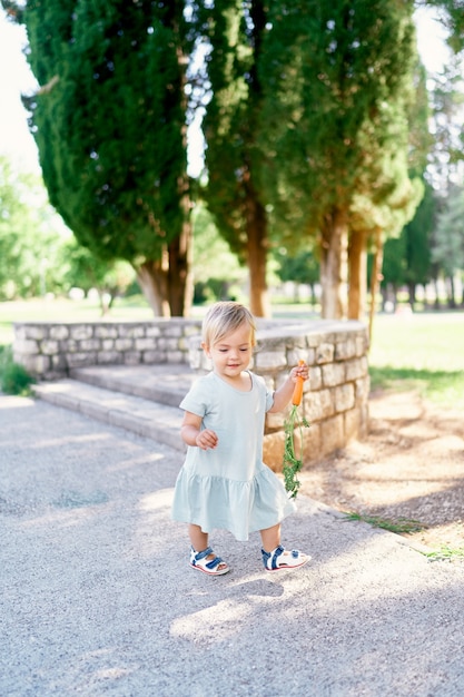 Une petite fille avec une carotte à la main se promène le long de la zone pavée du parc