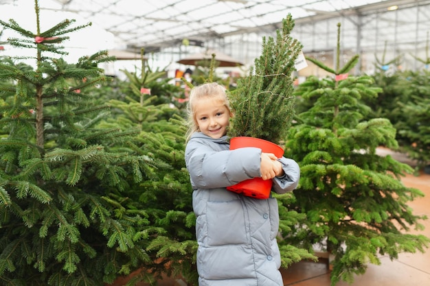 La petite fille choisit un arbre de Noël dans un pot au marché