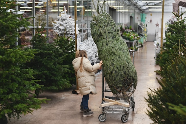 La petite fille choisit un arbre de Noël sur le marché.