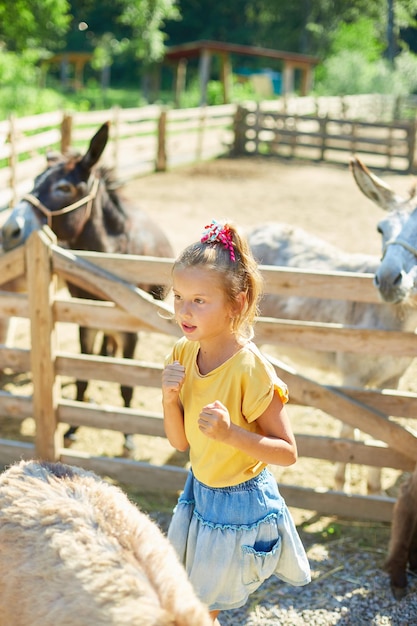 Petite fille en contact avec le zoo de la ferme avec des ânes à la campagne, une ferme