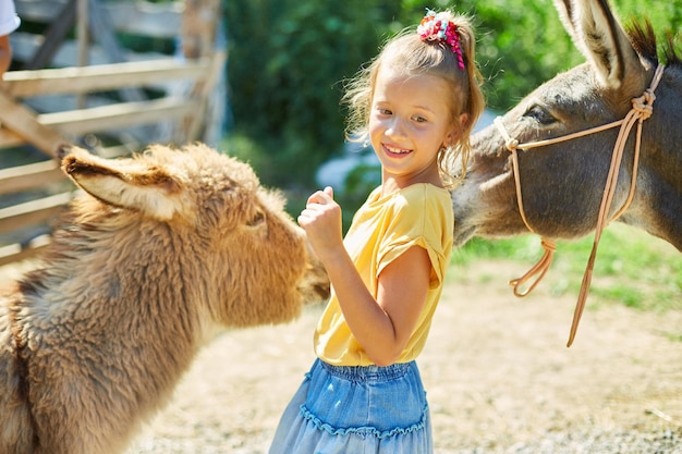 Petite fille en contact avec le zoo de la ferme avec des ânes à la campagne, une ferme