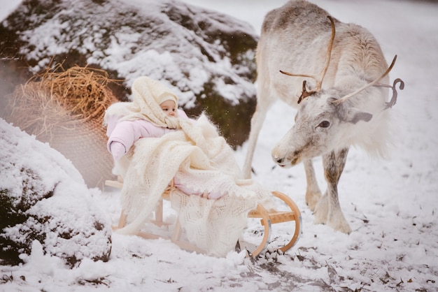 Photo petite fille à côté d'un renne dans un parc