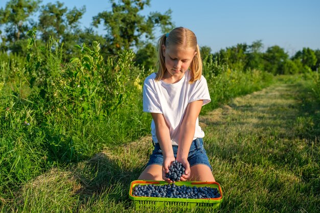 Petite fille cueillant des bleuets sur une ferme biologique et les verse dans des paniers