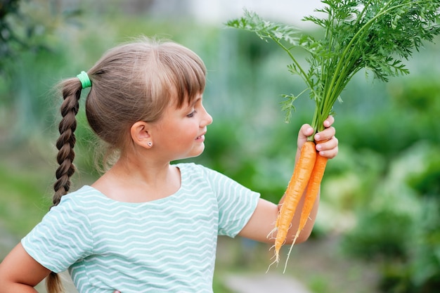 Petite fille cueillant des carottes dans un jardin. Récolte de légumes d'automne.