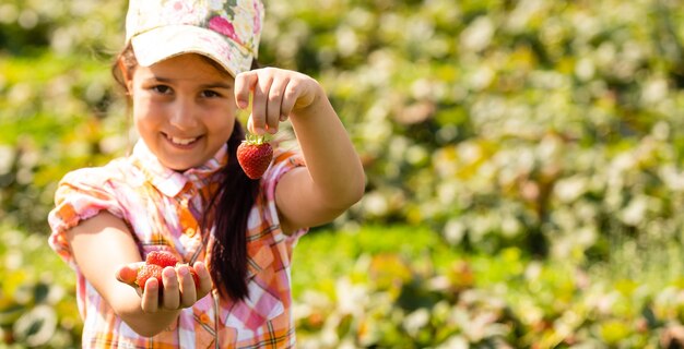 petite fille cueillant des fraises dans le domaine