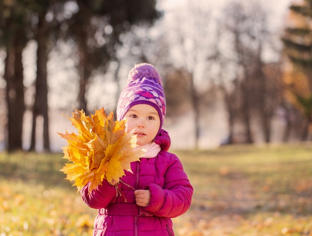 Petite fille, dans, automne, parc