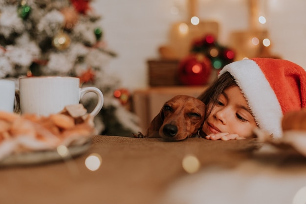 Petite fille dans un bonnet de Noel et un teckel nain veulent manger une assiette de pâtisseries et un gâteau de Noël