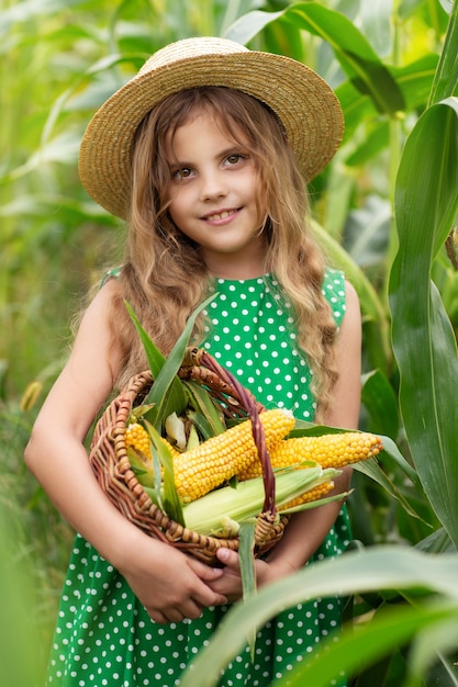 petite fille dans un champ de maïs