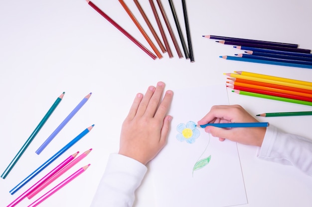 Photo une petite fille dessine une fleur sur du papier blanc avec un crayon de couleur photo de haute qualité