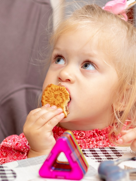 Une petite fille de deux ans mange des biscuits et regarde attentivement