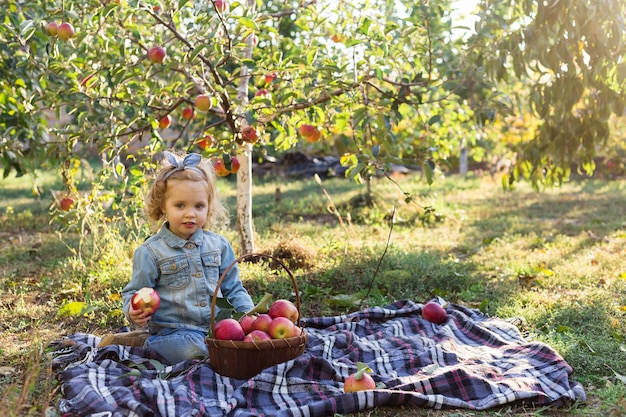 Petite fille enfant mangeant une pomme rouge biologique mûre dans un verger de pommes avec un panier de pommes en pique-nique