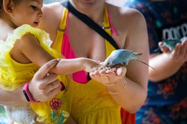 Une petite fille est assise dans les bras de sa mère et nourrit les perroquets de ses mains en gros plan