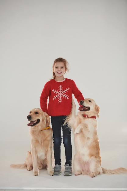 Petite fille est avec deux Golden retrievers dans le studio sur fond blanc