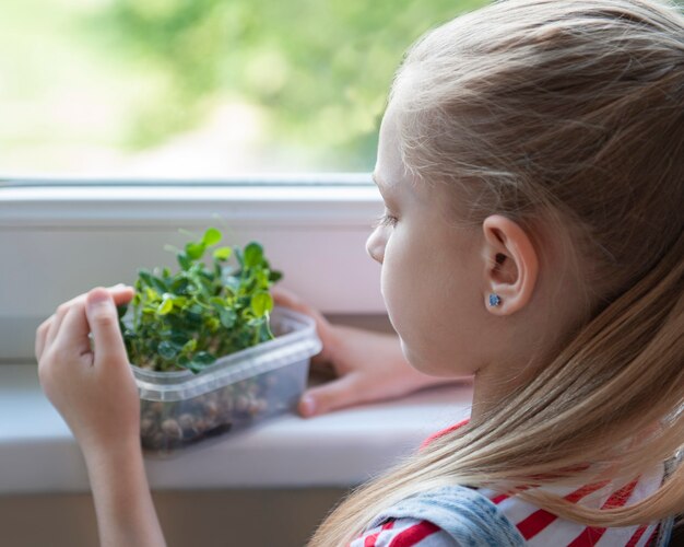 Une petite fille à la fenêtre regarde comment poussent les micro-pois verts