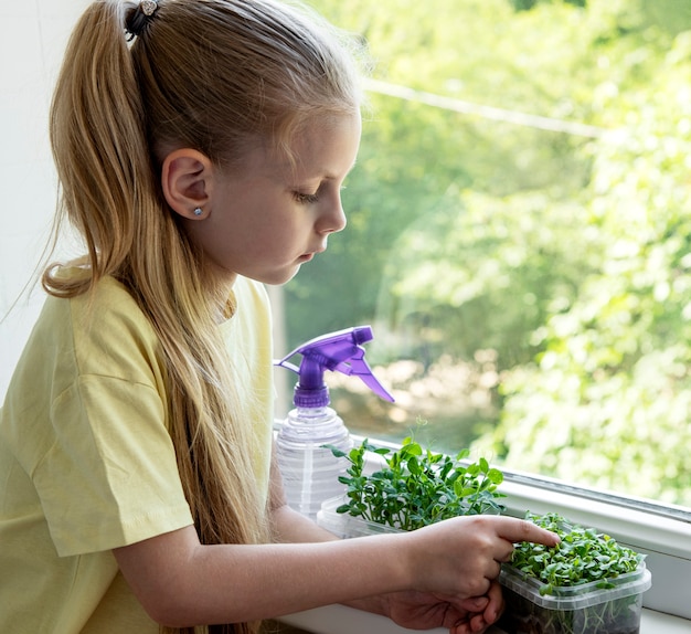 Une petite fille à la fenêtre regarde comment poussent les microgreens