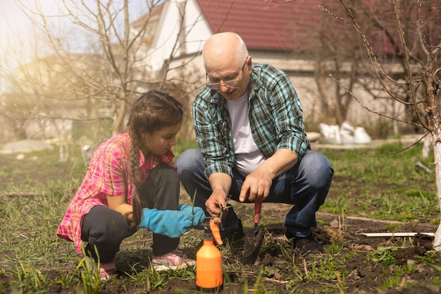 Une petite fille avec grand-père à l'extérieur dans la nature printanière, s'amusant. jardinage.