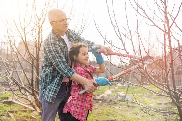 Une petite fille avec grand-père à l'extérieur dans la nature printanière, s'amusant. jardinage.