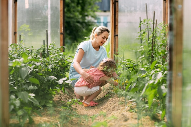Une petite fille heureuse aide sa mère à arroser les plantes dans la serre.