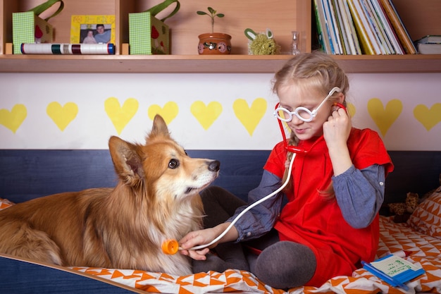 Petite fille jouant au docteur avec son chien corgi moelleux