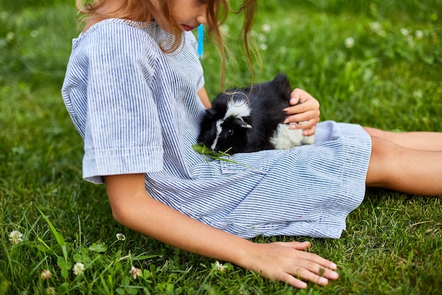 Une petite fille joue avec un cochon d'Inde noir assis à l'extérieur en été, un cochon d'Inde calicot pour animaux de compagnie broute dans l'herbe de la cour de son propriétaire, aime les animaux de compagnie