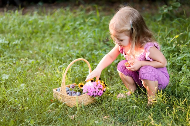 Petite fille joyeuse en vêtements violets assis sur l'herbe sort de délicieuses prunes du panier