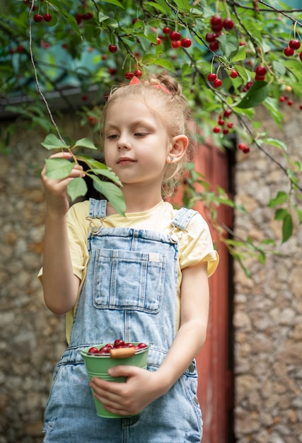 La petite fille mignonne choisit une cerise d'un arbre dans le jardin de cerise