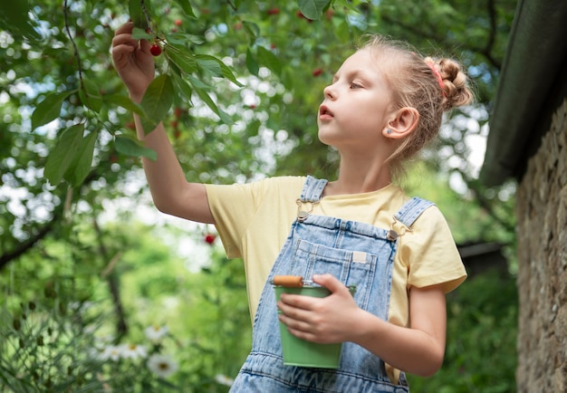 La petite fille mignonne choisit une cerise d'un arbre dans le jardin de cerise