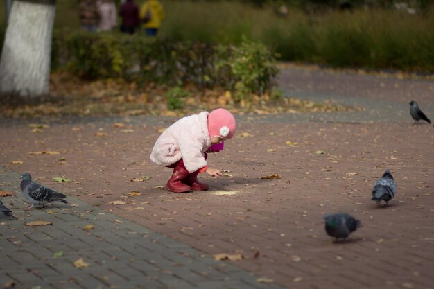 Petite fille nourrissant des pigeons dans le parc en automne