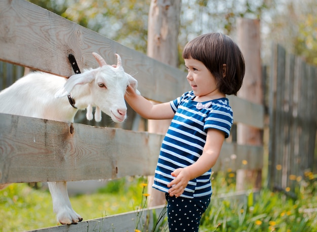 Une petite fille nourrit une chèvre sur la pelouse un été ensoleillé,