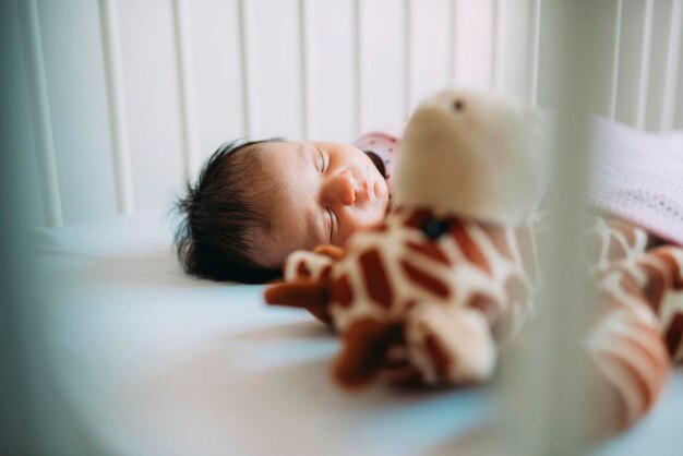 Petite fille nouveau-née dormant dans un berceau avec une girafe en peluche