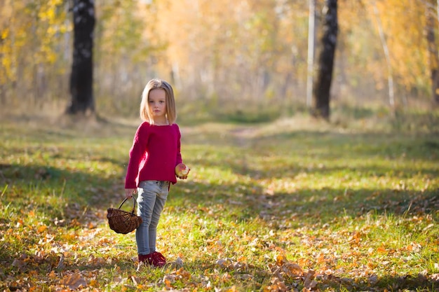 Petite fille avec un panier dans la forêt Enfant en promenade dans le parc d'automne Fille d'âge préscolaire dans la nature