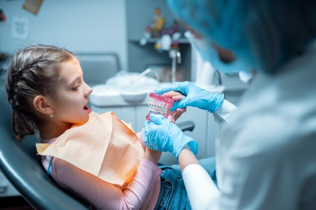 Une petite fille patiente avec surprise examine le modèle de la mâchoire entre les mains de l'orthodontiste