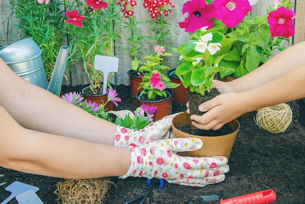 Une petite fille plante des fleurs Le jeune jardinier Mise au point sélective