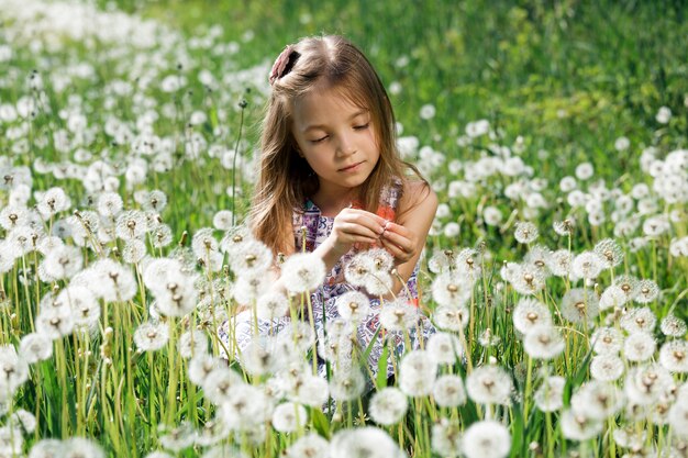 Petite fille profiter de pissenlits sur terrain ou pré vert au printemps journée ensoleillée.